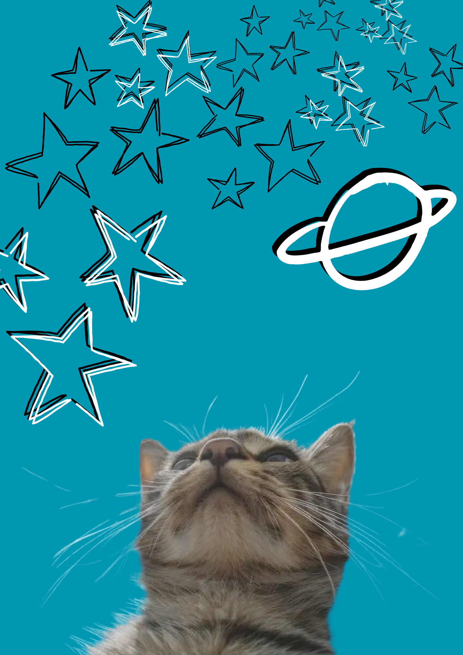 Stargazer Cat | Poster | DIY Printable Wall Art